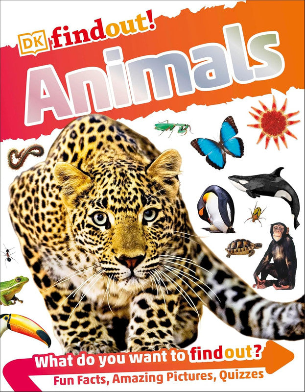 DKfindout! Animals Flexibound