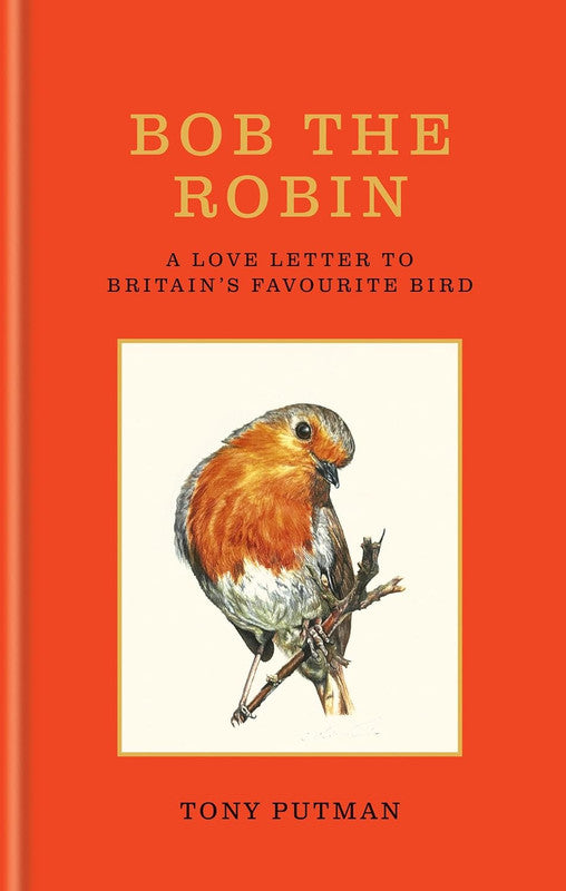 Bob the Robin: A Love Letter to Britain’s Favourite Bir
