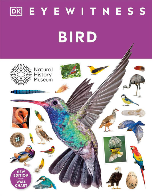 Bird: DK Eyewitness
