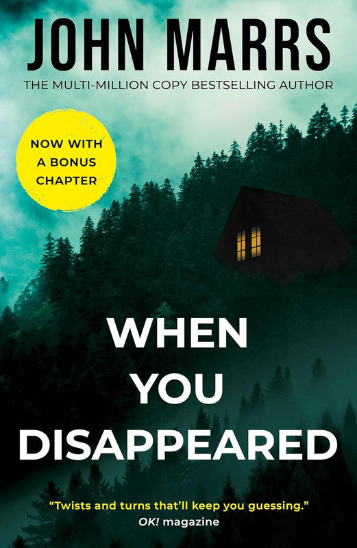 When You Disappeared Paperback